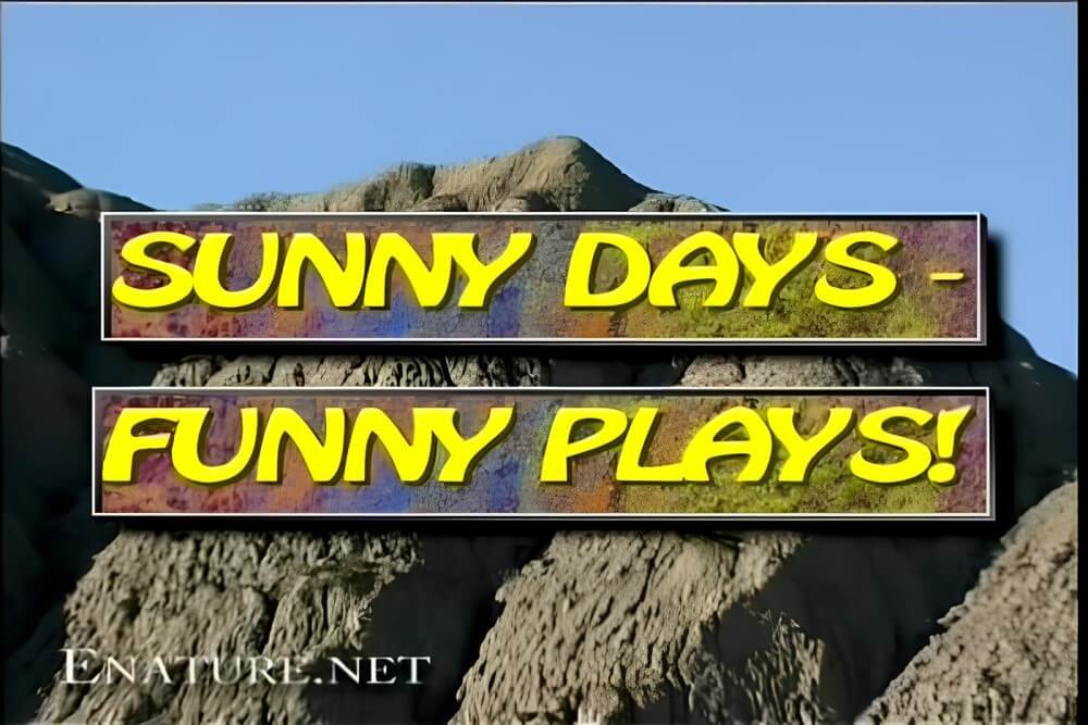 Enature - Sunny Days – Funny Plays - Naturism as a Way to Connect with Nature
