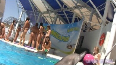 Amazing Dolphin Encounter HD video - Travel with elements of naturism