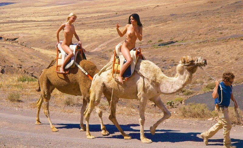 Funny Moments Life pics - People who practice nudism also believe that everyone is equal, regardless of circumstances